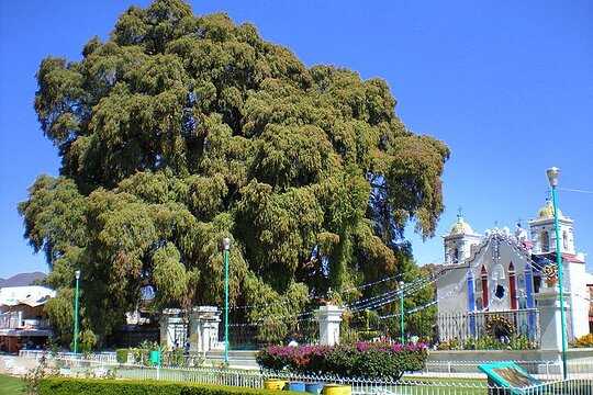 Tour image 5