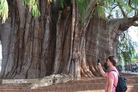Tour image 13