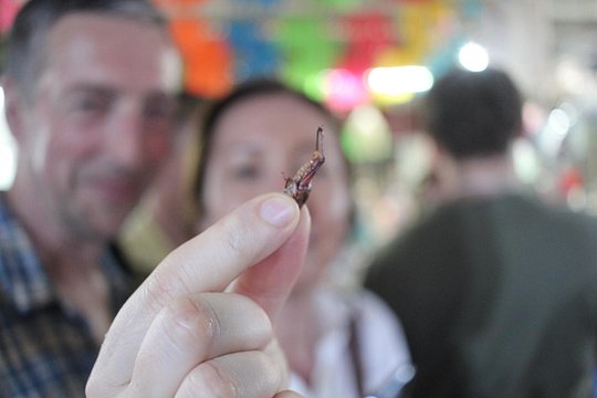 Tour image 12