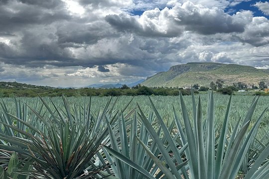 Tour image 10